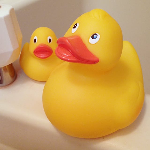 riiikoさんの実例写真