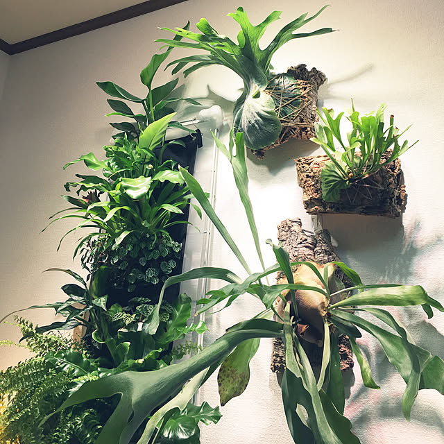 Yukiさんの実例写真