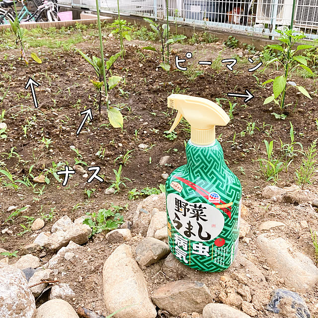 orinさんの実例写真