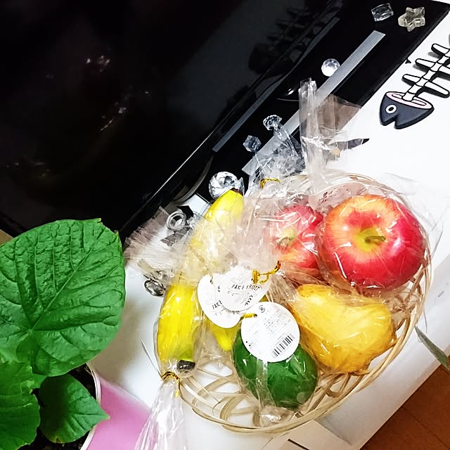 MISTさんの実例写真