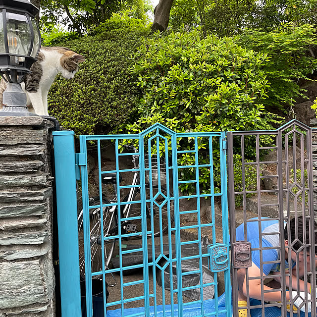 k-tomさんの実例写真