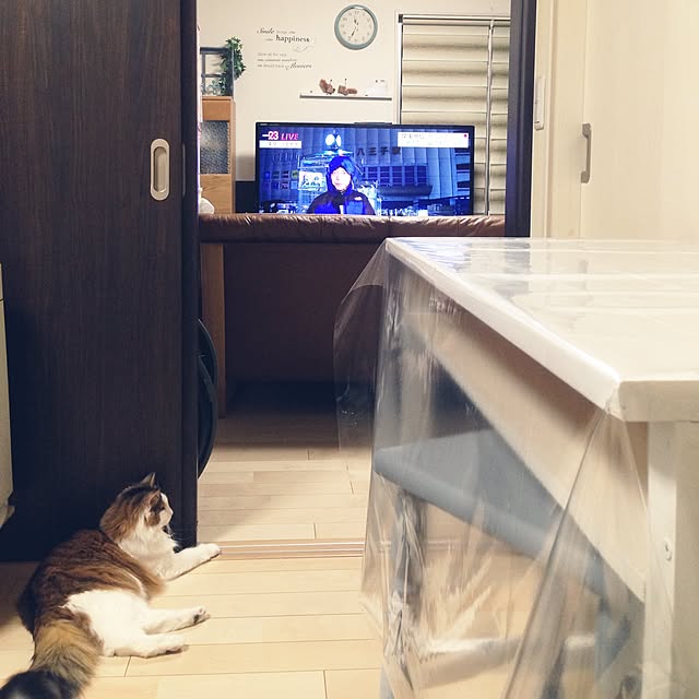 mikan0607さんの実例写真