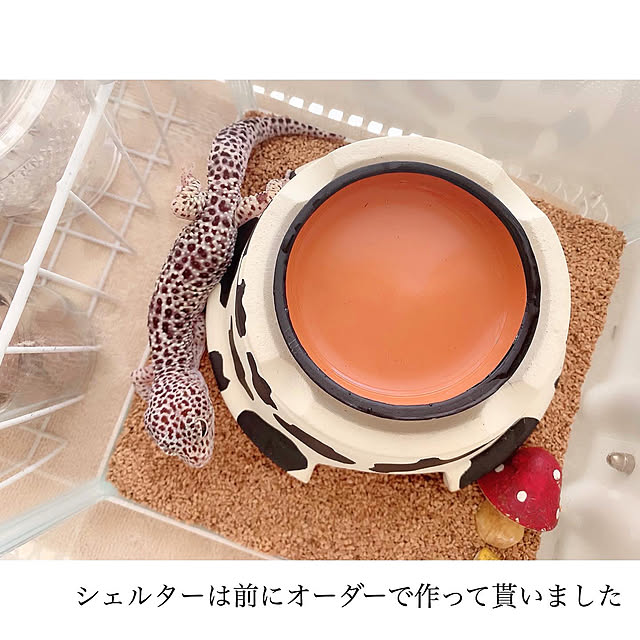 chaluさんの実例写真