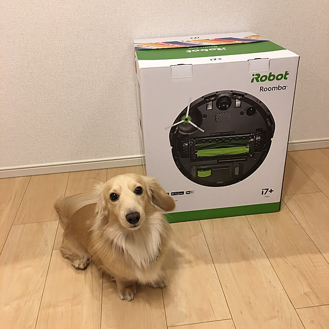 Rabitterさんの実例写真