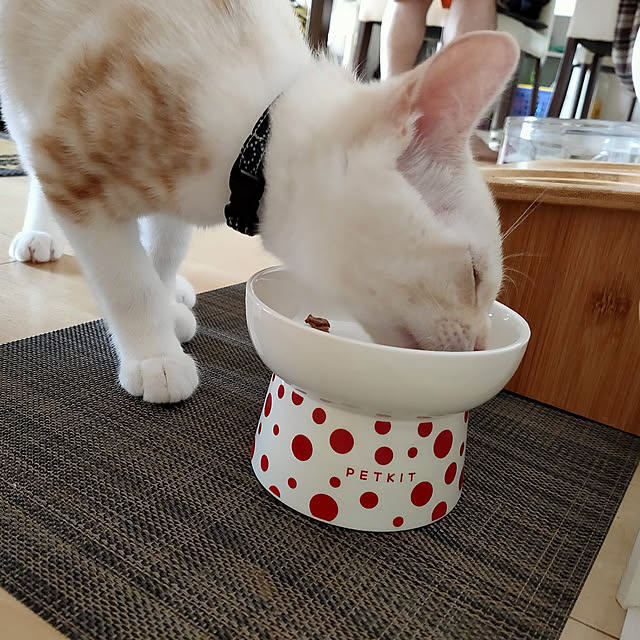 Ai_Mさんの実例写真