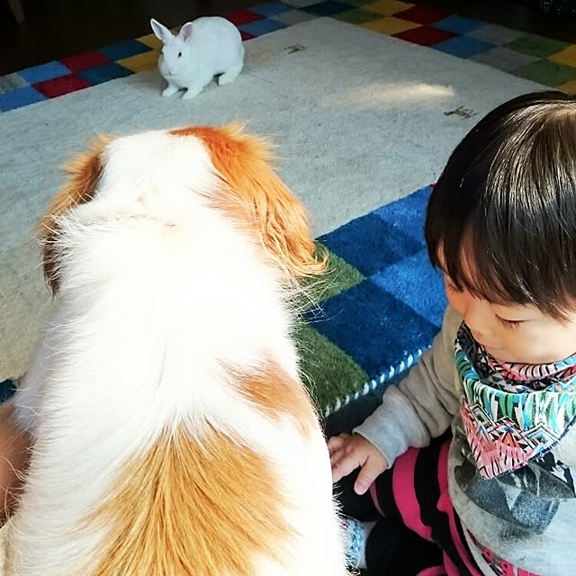 pepeさんの実例写真