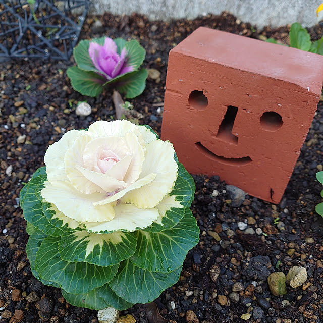 fukuさんの実例写真
