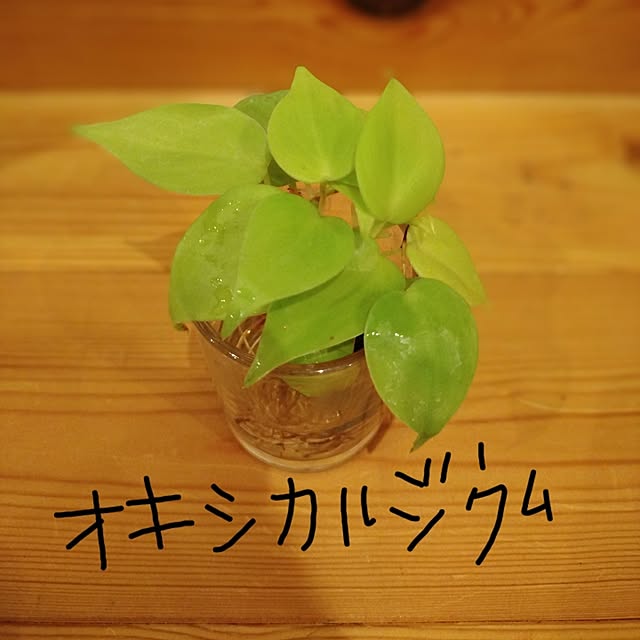 marokichiさんの実例写真
