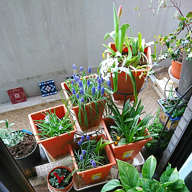 bonobono54さんの実例写真