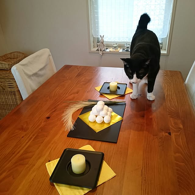 hiyo.pietさんの実例写真