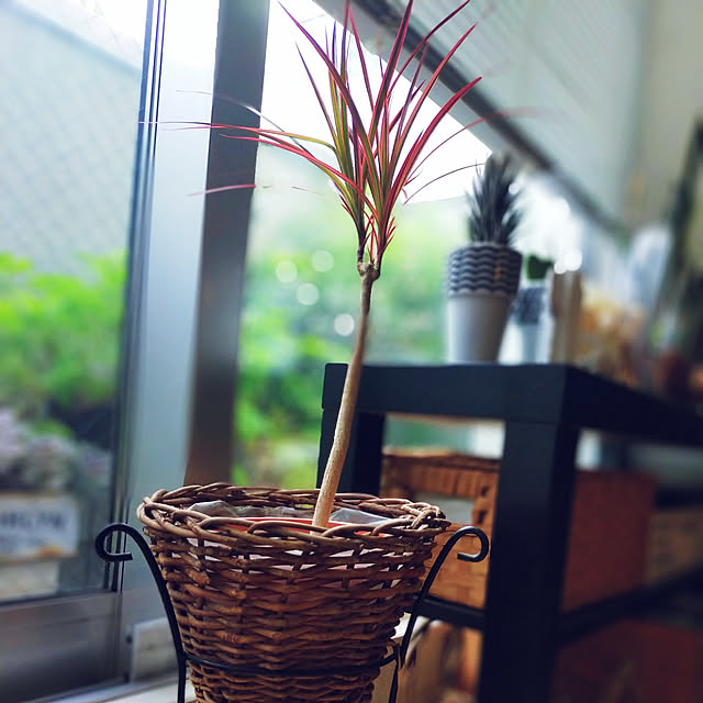 jinさんの実例写真