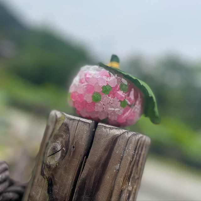 kuikoさんの実例写真