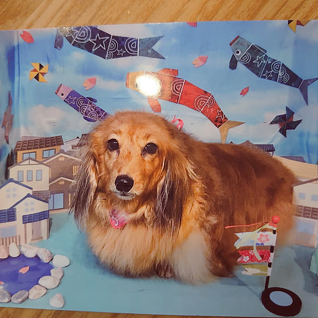 rikachakoさんの実例写真