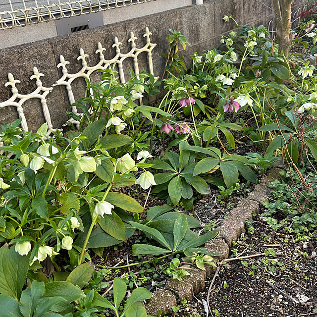 chIoeさんの部屋