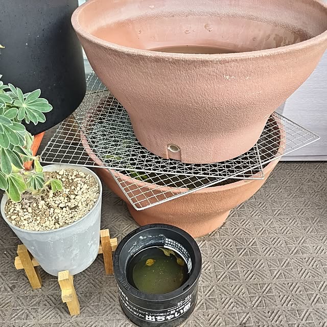 mi-saさんの部屋