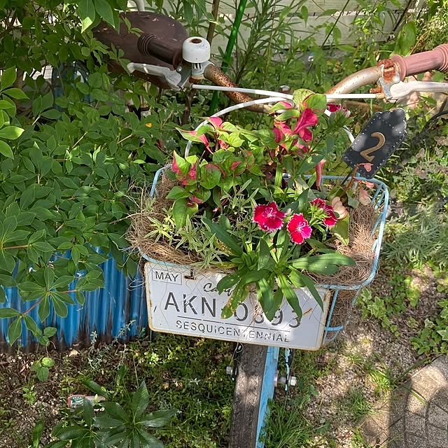 min_nimさんの実例写真