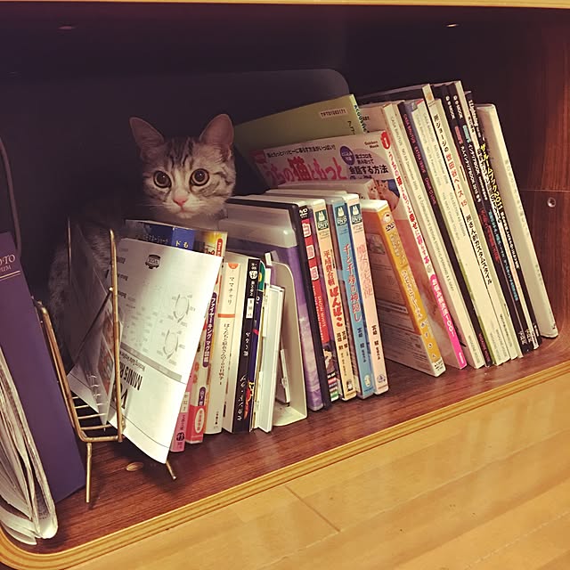 Shojiさんの実例写真