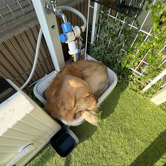 marinkoさんの実例写真