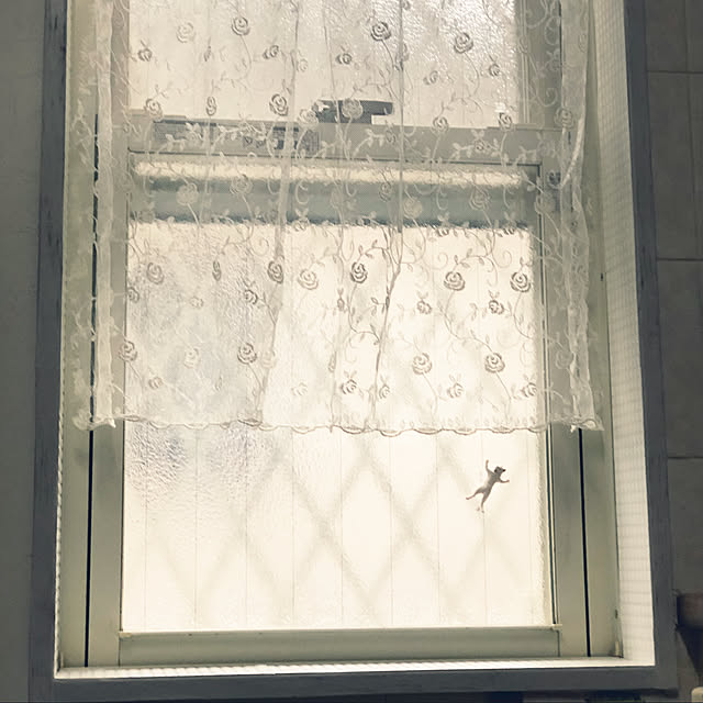 sututokoさんの実例写真