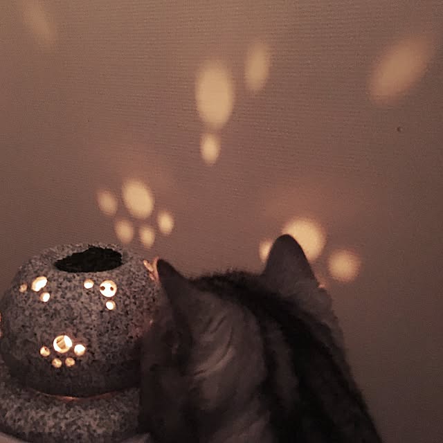 mikomaruさんの実例写真