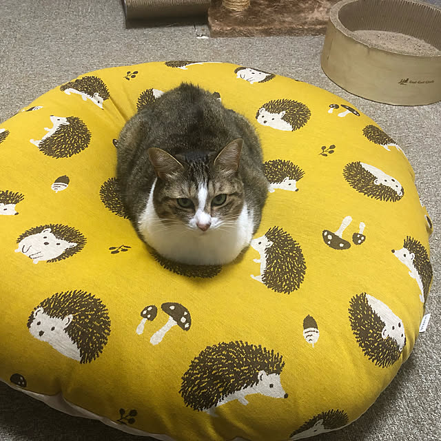 mill_0303さんの実例写真