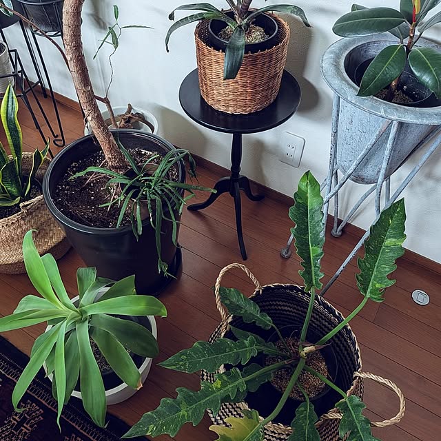 matthewさんの部屋