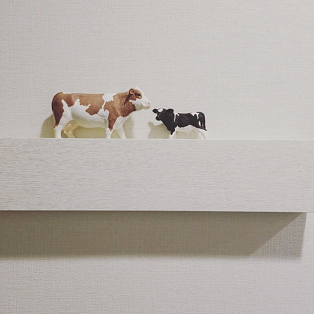 R.sさんの実例写真