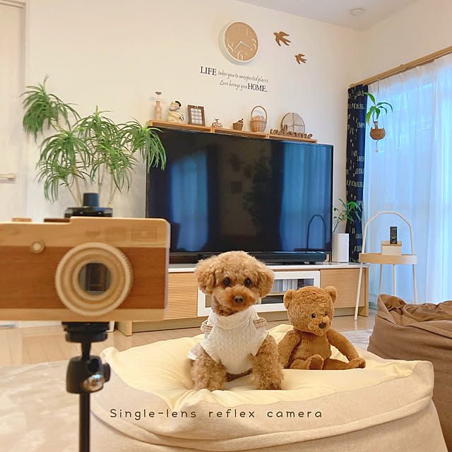 e.and.m.mamaさんの実例写真