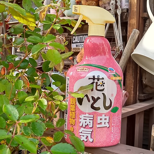 soraさんの部屋