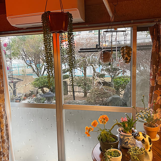 shin0719さんの実例写真