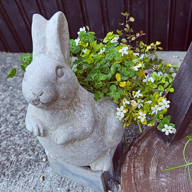 mocomocoさんの部屋