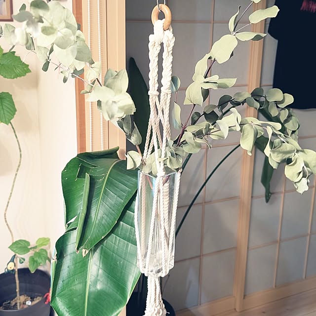 mikoさんの部屋