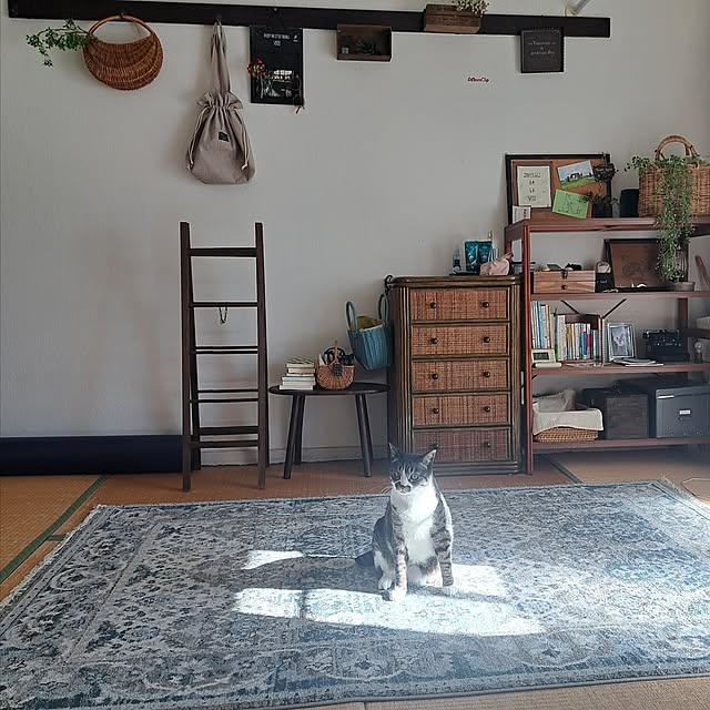 実例写真