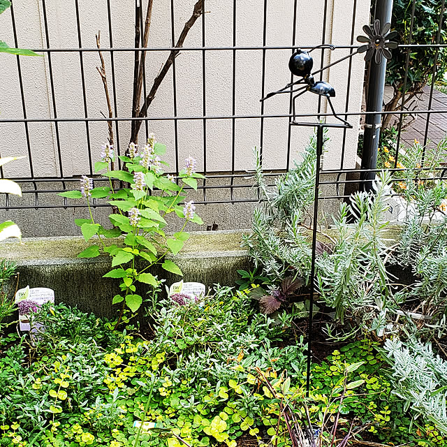 masaさんの実例写真