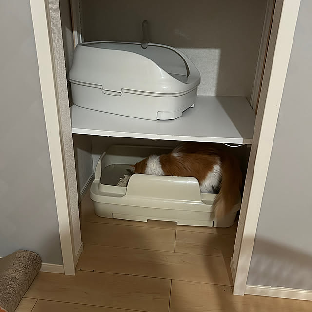 H.Tさんの実例写真