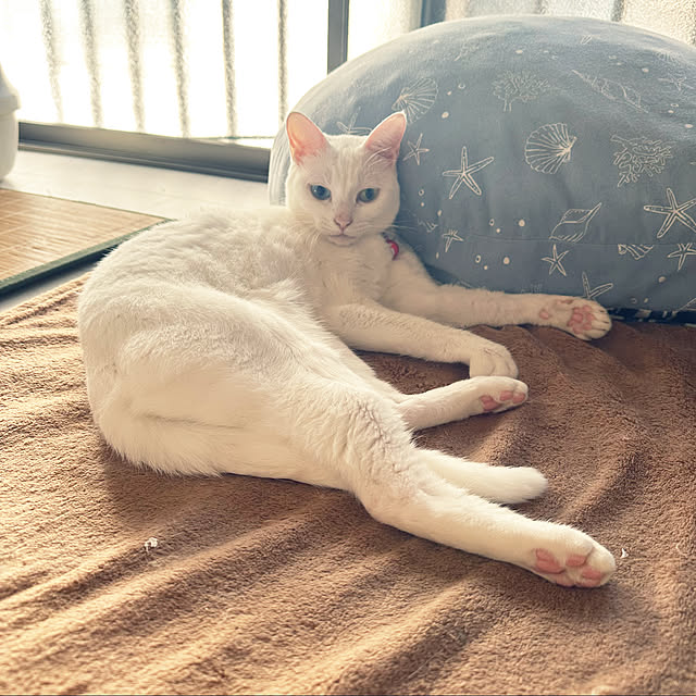 mugiさんの実例写真
