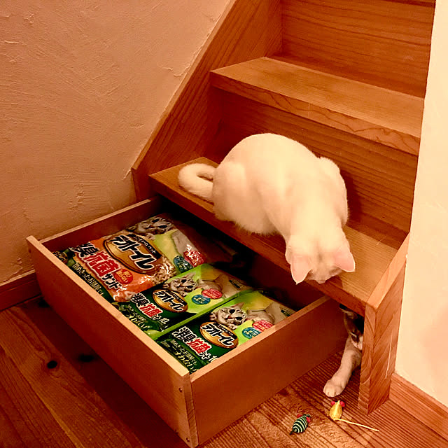 sakurasakuさんの実例写真