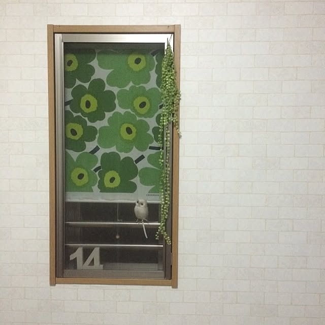 145さんの実例写真