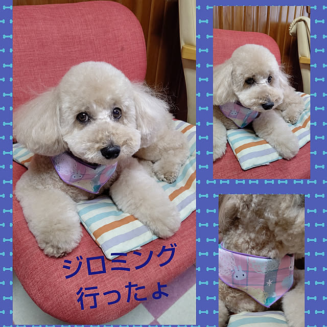 yumirinさんの実例写真