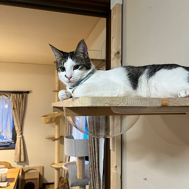 kuzumeganeさんの部屋