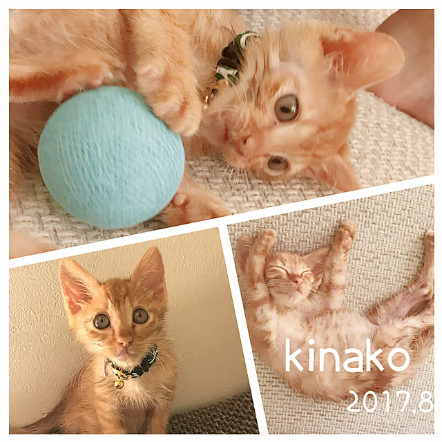 mako0301さんの部屋