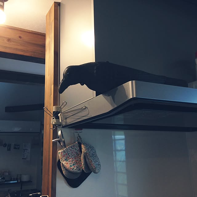 guppiesさんの実例写真