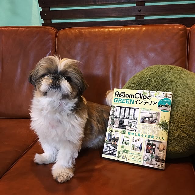 ANNAさんの実例写真