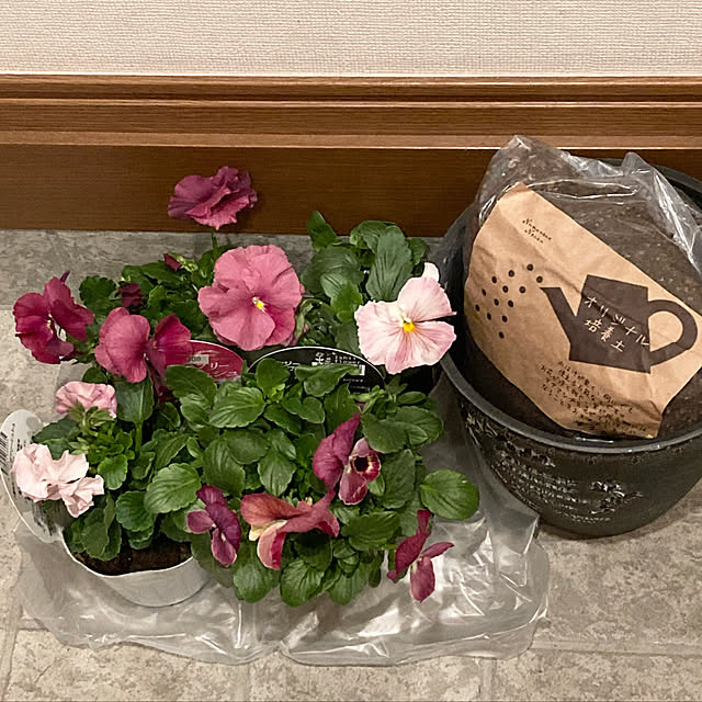 kotoripさんの実例写真