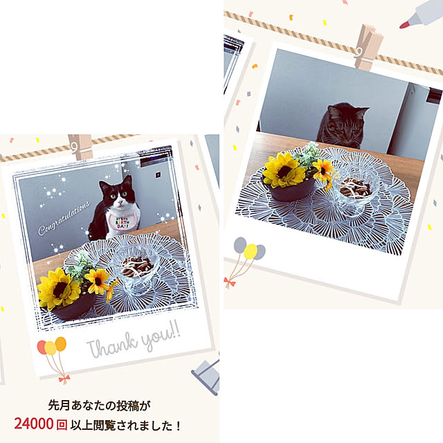 hihaさんの実例写真