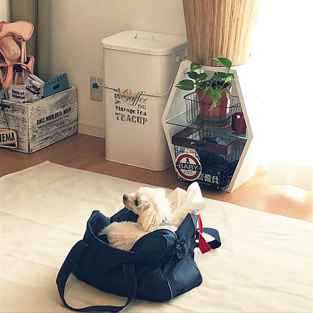 tomさんの実例写真