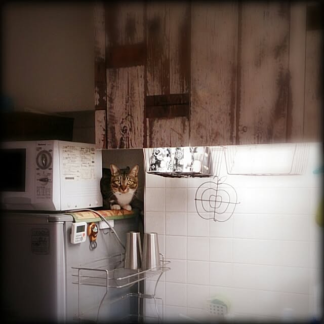 Lukiさんの実例写真
