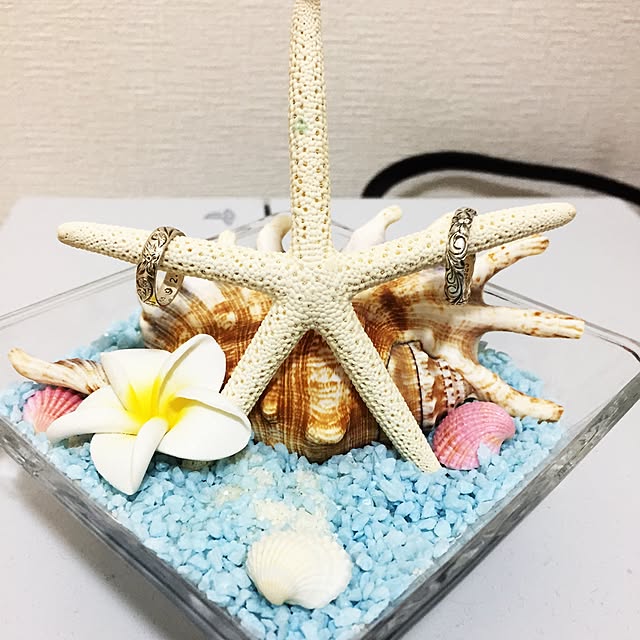 misuke.jpさんの実例写真