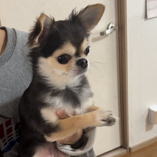 junさんの部屋