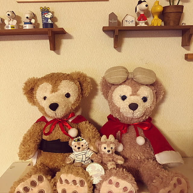 lovesoraさんの実例写真